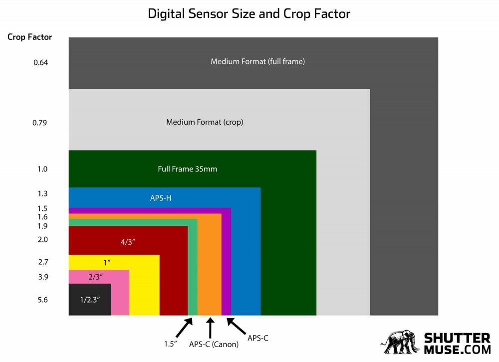 common-digital-sensor-sizes.jpg