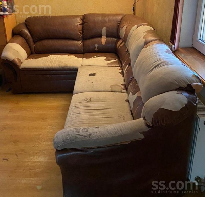 home-stuff-furniture-interior-sofas-33566901.800.jpg