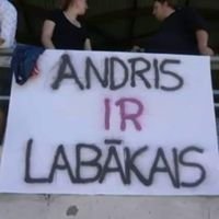 Andris Karins