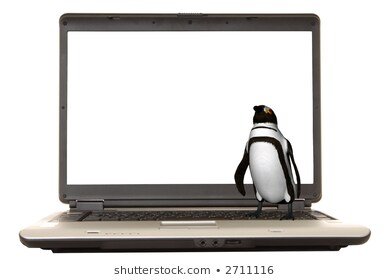 laptop-computer-illustrated-penguin-on-260nw-2711116.jpg.35977aaa8753a23456d143224c890f42.jpg