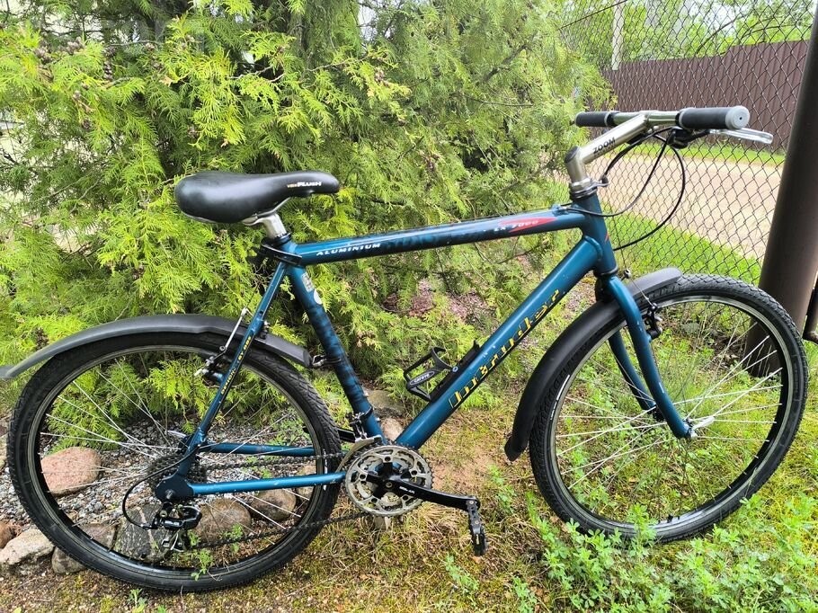 transport-bycycles-mountain-3-68333263_800.jpg.ead2ae807a4927d6036890284c454c88.jpg